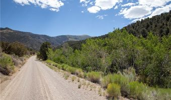 Duck Creek Development Road, Ely, NV 89301