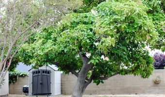 105 S Kingsley St, Anaheim, CA 92806