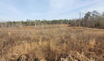 85 6+/- Acres County Road 2291, Booneville, MS 38829