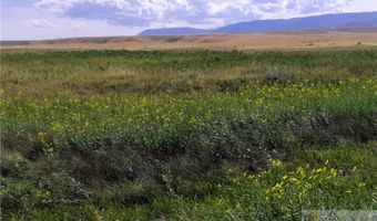 nhn Stagecoach Spur W lot 935-6, Belfry, MT 59008