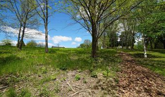 8 A212 Adams Court Lot 8A213 Adams Ct, Apple River, IL 61001
