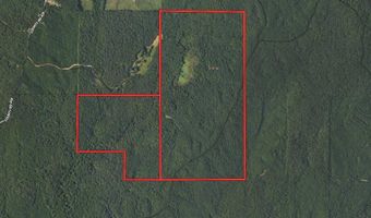 0 CR 437, Ashland, MS 38603