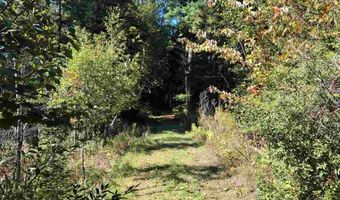 TBD Banwell, Alanson, MI 49706