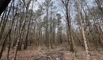 920 A Auburn Dr, Bogue Chitto, MS 39629