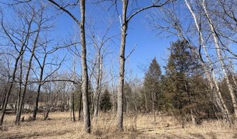Rt 1 County Rd 14-531, Ava, MO 65608