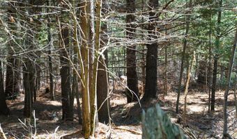 5840 Wildwood Rd, Alger, MI 48610