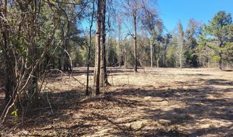 NW Tommy Tucker Road lot 1, Altha, FL 32421