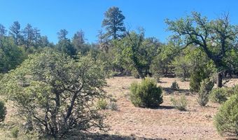 1751 Forest Service Rd 163, Clay Springs, AZ 85923