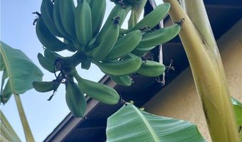 442 Verde Rdg, Spring Valley, CA 91977