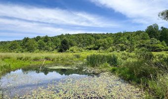 Woodland Hills Road, Andes, NY 13731