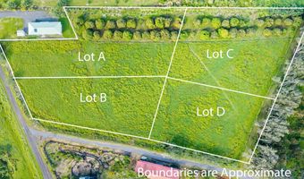 29-605 CHIN CHUCK Rd, Hakalau, HI 96710