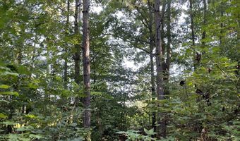 Highway 58, Baskerville, VA 23915