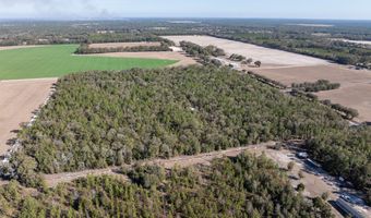 4700 County Road 340, Bell, FL 32619