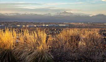 13725 Ash Cir, Brighton, CO 80602