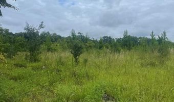 00 Belcher Ln, Bainbridge, GA 39817