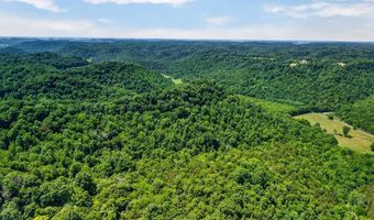 2926 Bryant Ridge Rd, Baxter, TN 38544