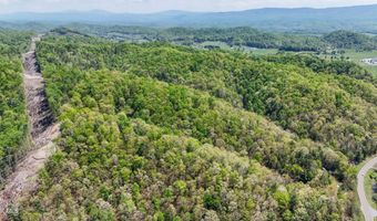 Tbd Green Springs Road, Abingdon, VA 24211
