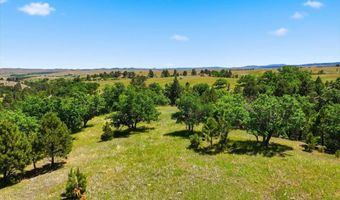 50 99 Acres Hat Ranch Dr, Belle Fourche, SD 57717