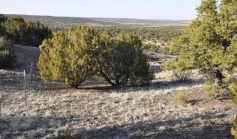 20 County Road 3044, Concho, AZ 85924