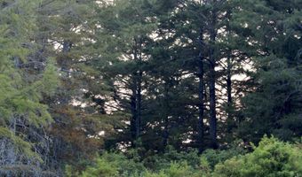 Bolivar Road, Benoit, MS 38725