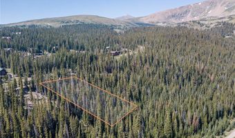585 COUNTY ROAD 805, Breckenridge, CO 80424