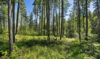 139 Timberjack Trl, Bigfork, MT 59911