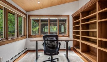 203 Eastwood Dr, Aspen, CO 81611