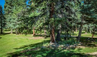 53 Forest Rd 76, Angel Fire, NM 87710