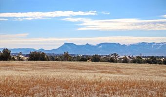 TBD Road 25, Dolores, CO 81323