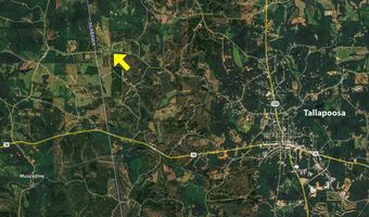 897 George Green Rd, Tallapoosa, GA 30176