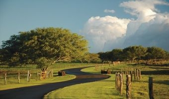 56-113 PUALANI Rd, Hawi, HI 96719