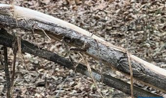 3220 SPOTSWOOD Trl Lot 5, Barboursville, VA 22923