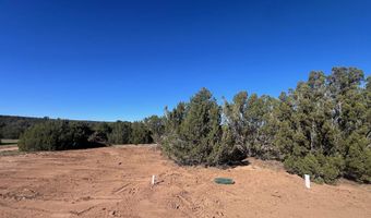 96 CR3041, Concho, AZ 85924