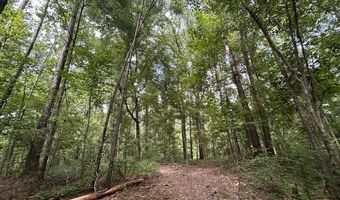 398 Wakefield Ln, Brookhaven, MS 39601