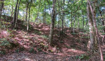 Anding Oil City Road, Bentonia, MS 39040