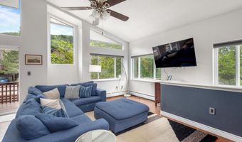21 Pine Ridge Rd, Basalt, CO 81621