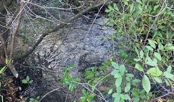 21526 NW Isoletta Ln, Altha, FL 32421