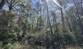 Parcel B Holloway Road, Baker, FL 32531