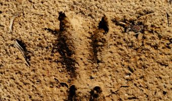 US Hwy 98, Beaumont, MS 39423