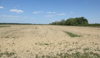 Ronald- Tract D Road, Basile, LA 70515