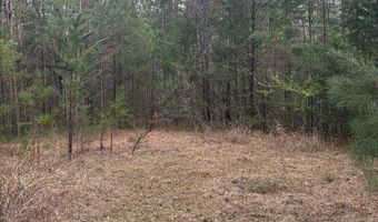 Hwy 9, Blue Springs, MS 38828