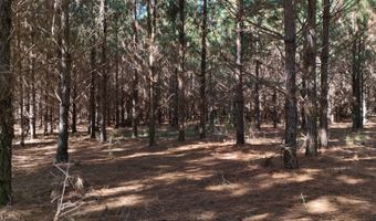 01 Goose Platter Rd, Batesburg, SC 29006