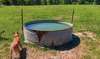 210 County Road 320, Alton, MO 65606