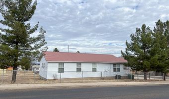 309 S 2nd St, Alpine, TX 79830