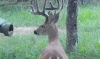 160 Jones Creek Rd, McAlester, OK 74501