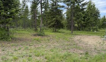 12572 E Parks Rd, Athol, ID 83801