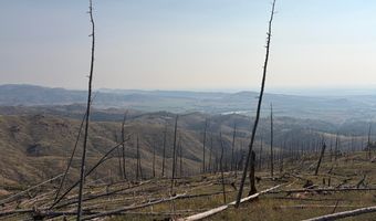 Pine Acres Rd, Bellvue, CO 80512