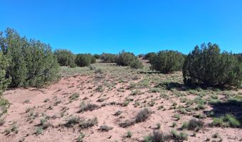 236 N9233 SE, Concho, AZ 85924