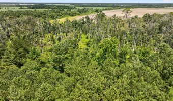 Farmingdon Drive, Adel, GA 31620