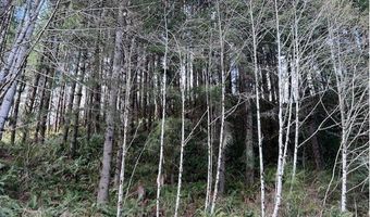Northrup Creek RD, Birkenfeld, OR 97016